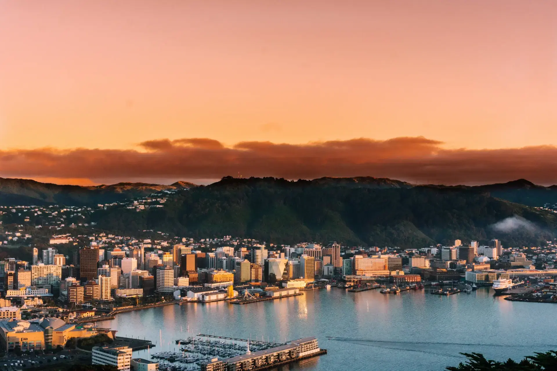 Wellington city and harbour at sunset